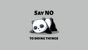 Lazy Panda Humor Wallpaper