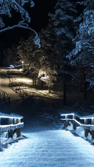 Leading With Snow Falling Wallpaper