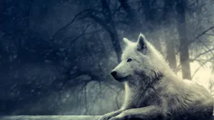Leaning Wolf Desktop Wallpaper