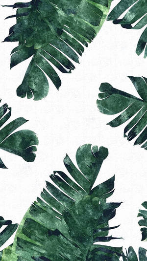 Leaves Iphone Minimalist Wallpaper