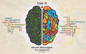 Left And Right Cerebral Cortex Labeled Diagram Wallpaper