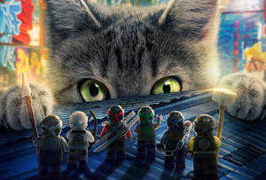 Lego Ninjago In Front Of A Cat Wallpaper