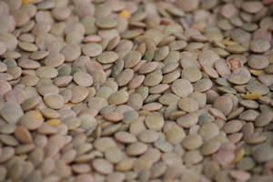 Lentils In Large Quantity Wallpaper