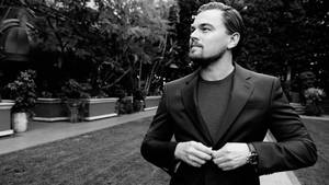 Leonardo Dicaprio Black And White Wallpaper