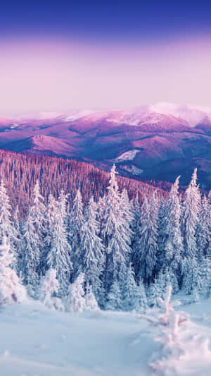 Let Nature Take The Lead And Explore The Beauty Of The Winter Season! Wallpaper