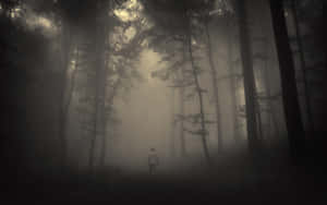 Let's Walk Through This Dark And Mysterious World Together Wallpaper