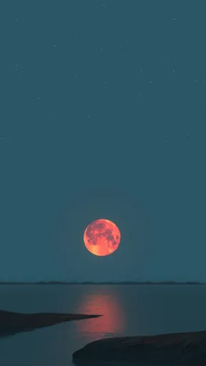 Let The Cool Moonlight Be Your Guide Wallpaper