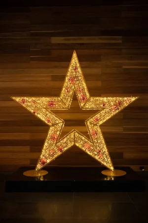 Let The Magic Of The Christmas Star Illuminate Your Home This Holiday Wallpaper