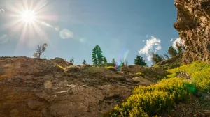 Let The Warmth Of The Sun Rejuvenate You Wallpaper