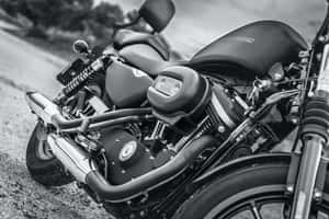 Let The Wind Take You Away On A Harley Davidson Hd Wallpaper