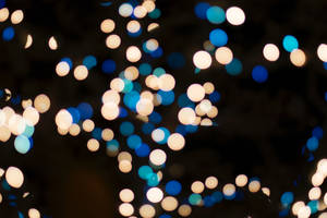 Let Your Home Shine This Holiday With These Magical Blue And White Christmas Lights. Wallpaper