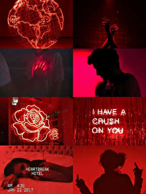 Let Your Maroon Aesthetic Awaken You To Life’s Simple Pleasures. Wallpaper