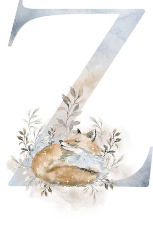 Letter Z With Sleeping Fox Wallpaper