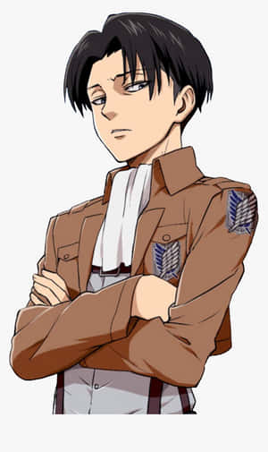 Levi Pfp Wearing Uniform Wallpaper