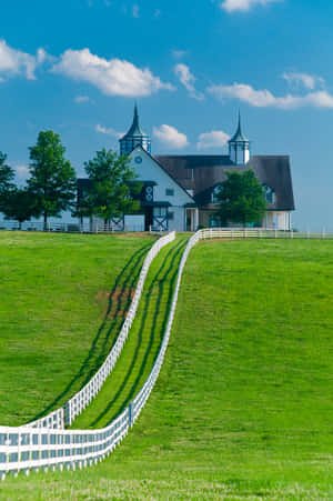 Lexington Manchester Farm Wallpaper