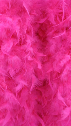 Lg Phone Bright Pink Feathers Wallpaper