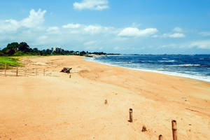 Liberia Bare Beach Wallpaper