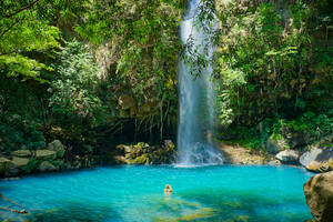 Liberia Forest Waterfall Wallpaper