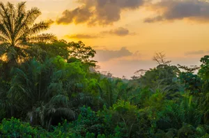 Liberia Yellow Sky Wallpaper