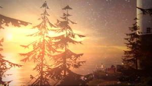 Life Is Strange Overlooking Sea Wallpaper