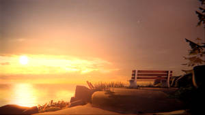 Life Is Strange Sunset View Wallpaper