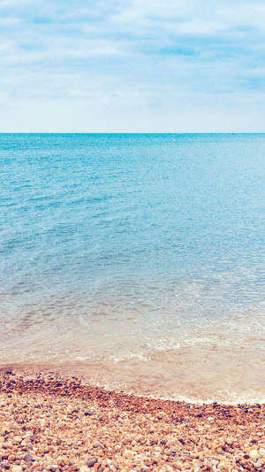 Light Blue Sky Beach Shore Wallpaper