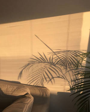 Light Brown Aesthetic Room With Shadows Wallpaper