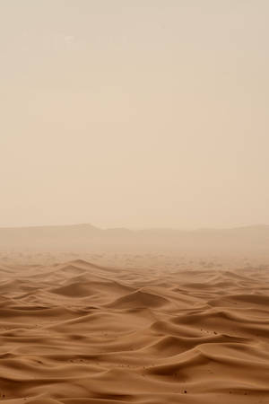 Light Brown Aesthetic Vast Desert Wallpaper
