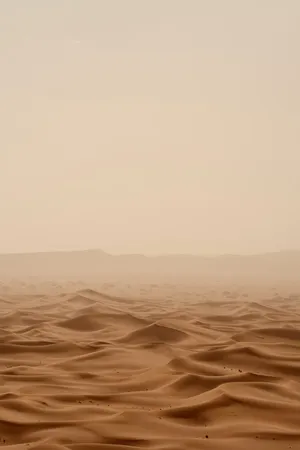 Light Brown Aesthetic Vast Desert Wallpaper