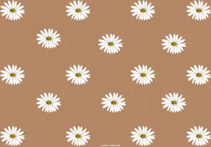 Light Brown Daisy Pattern Wallpaper