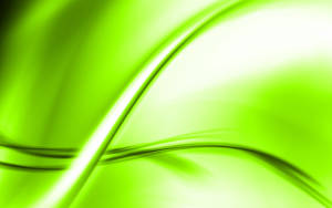 Light Green Abstract Wallpaper