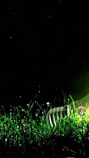 Light Green Grassy Wallpaper