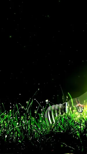 Light Green Grassy Wallpaper