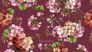 Light Maroon Floral Gucci 4k Wallpaper