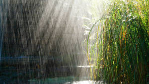 Light Shining Through Heavy Rain Wallpaper