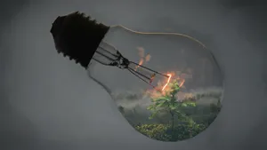 Lights Bulb Inside Tree Wallpaper