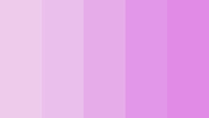 Lilac Color Different Shades Wallpaper