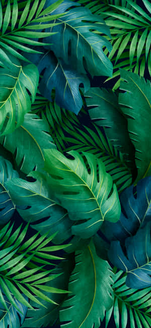 Lime Green Aesthetic Tropical Leaves Wallpaper