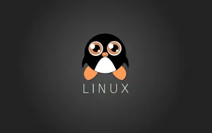 Linux Cute Cartoon Penguin Wallpaper