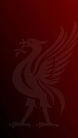 Liverpool Fans Praising The Power Of Their Iphones! Wallpaper