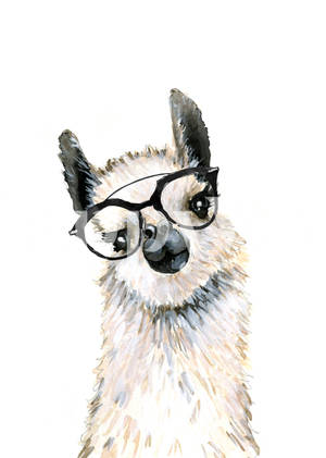 Llama In Watercolor Wallpaper