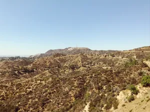 Lo Fi Hollywood Brown Plains Wallpaper