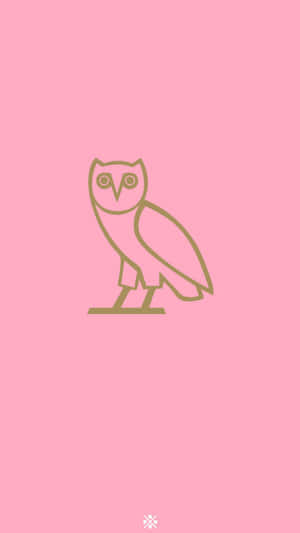 London Based Artist Ovoxo Brings A World Of Sound To The Masses. Wallpaper