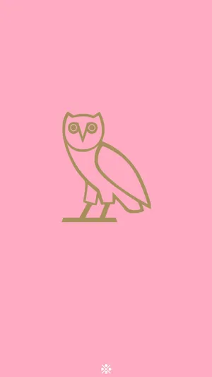 London Based Artist Ovoxo Brings A World Of Sound To The Masses. Wallpaper