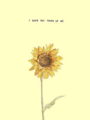 Lonely Sunflower Yellow Tumblr Aesthetic Wallpaper