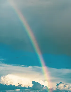 Long Cute Rainbow Wallpaper