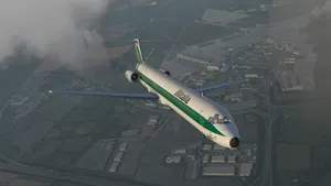 Long Small Plane Wallpaper