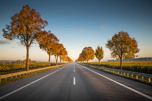 Long Straight Road Wallpaper