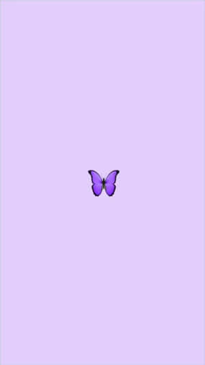 Look At The Cool Butterfly And Its Vibrant Coloring! Wallpaper