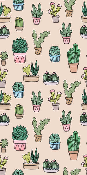 Look Cool With The Cactus Iphone Wallpaper